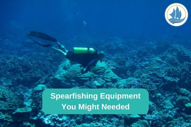 Spearfishing Equipment You Might Needed